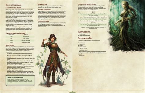 dnd 5e druid level up|d and d druid guide.